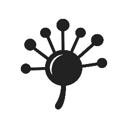 Mold Remediation Richmond VA